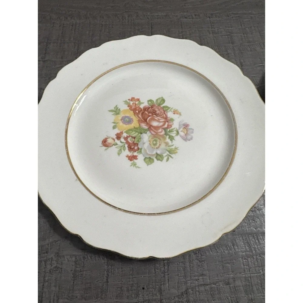 Vintage Canonsburg Floral Plates Set of 2 – 9